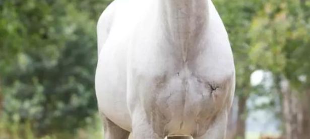 LOL-F1赛场再起风云：燕山鲨队队失利塞北独角兽队，赛场气氛火爆禁区内连续解围(宽哥被打梁哥带人解围完整版视频)